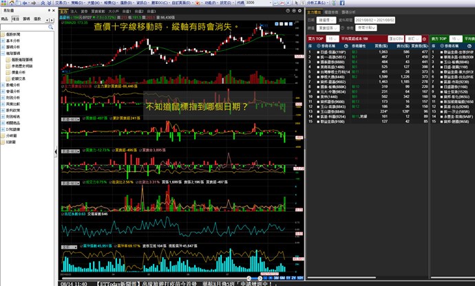 進階籌碼畫面查價十字線問題